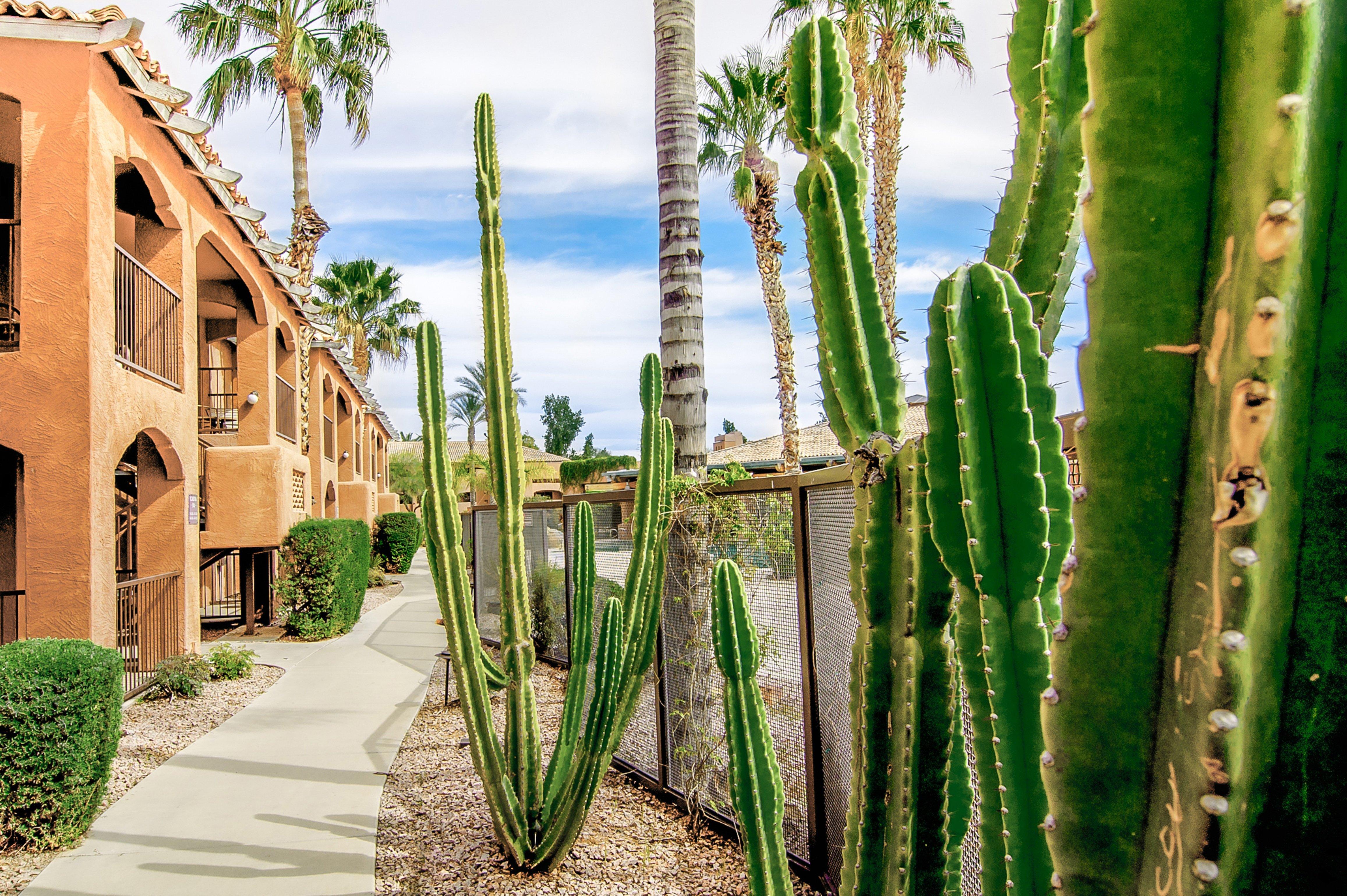 Holiday Inn Club Vacations Scottsdale Resort Exterior foto